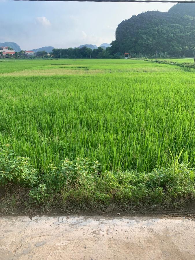 Tam Coc Wonderland Bungalow Ninh Binh Luaran gambar